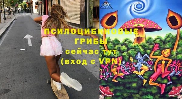 а пвп мука Одинцово