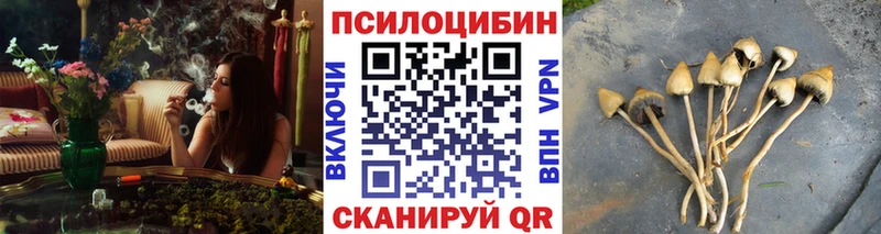 ОМГ ОМГ сайт Урус-Мартан Галлюциногенные грибы Cubensis